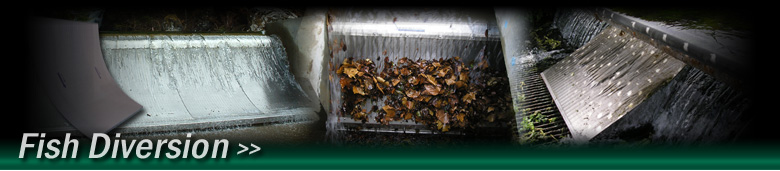 Sieve screens & flat panels for fish diversion applications